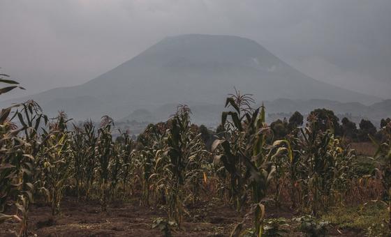 UN hails DR Congo-Rwanda peace deal amid ongoing hostilities in the east